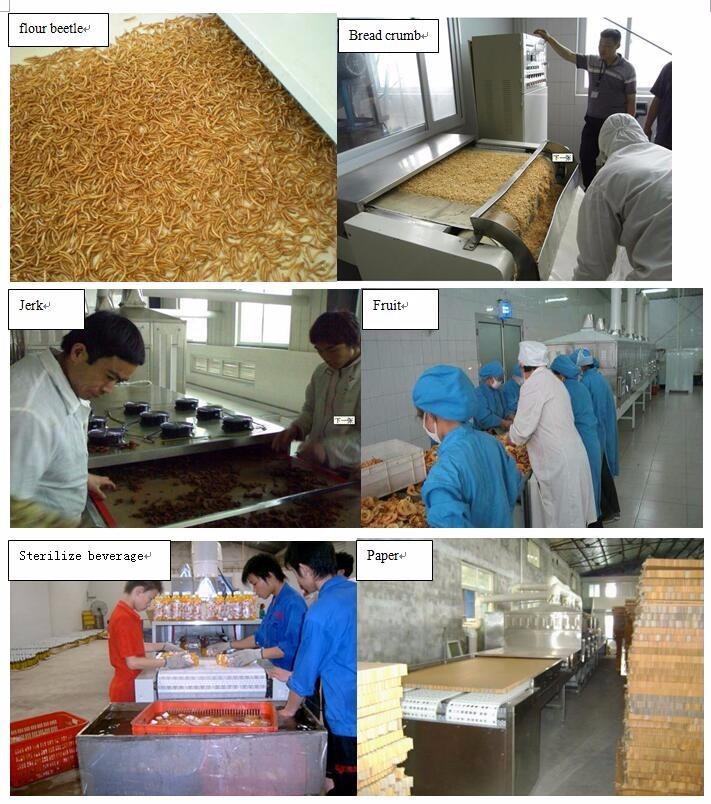 microwave dryer oven (3)